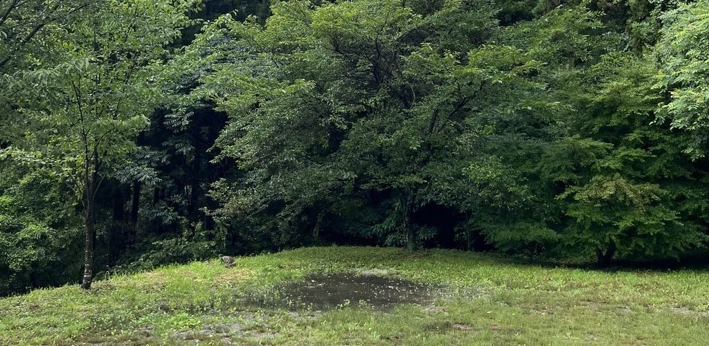 若杉楽園キャンプ場実際の写真
